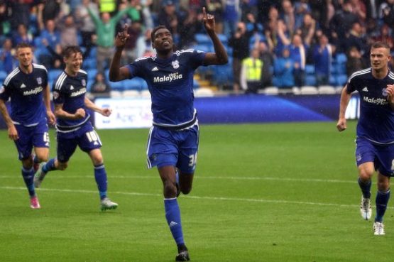 Sammy Ameobi