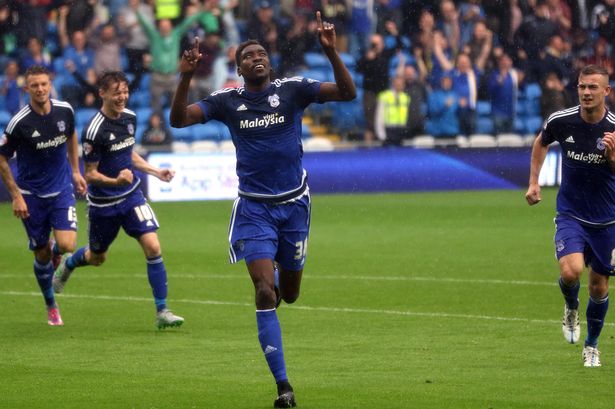 Sammy Ameobi