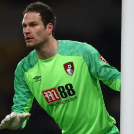 begovic