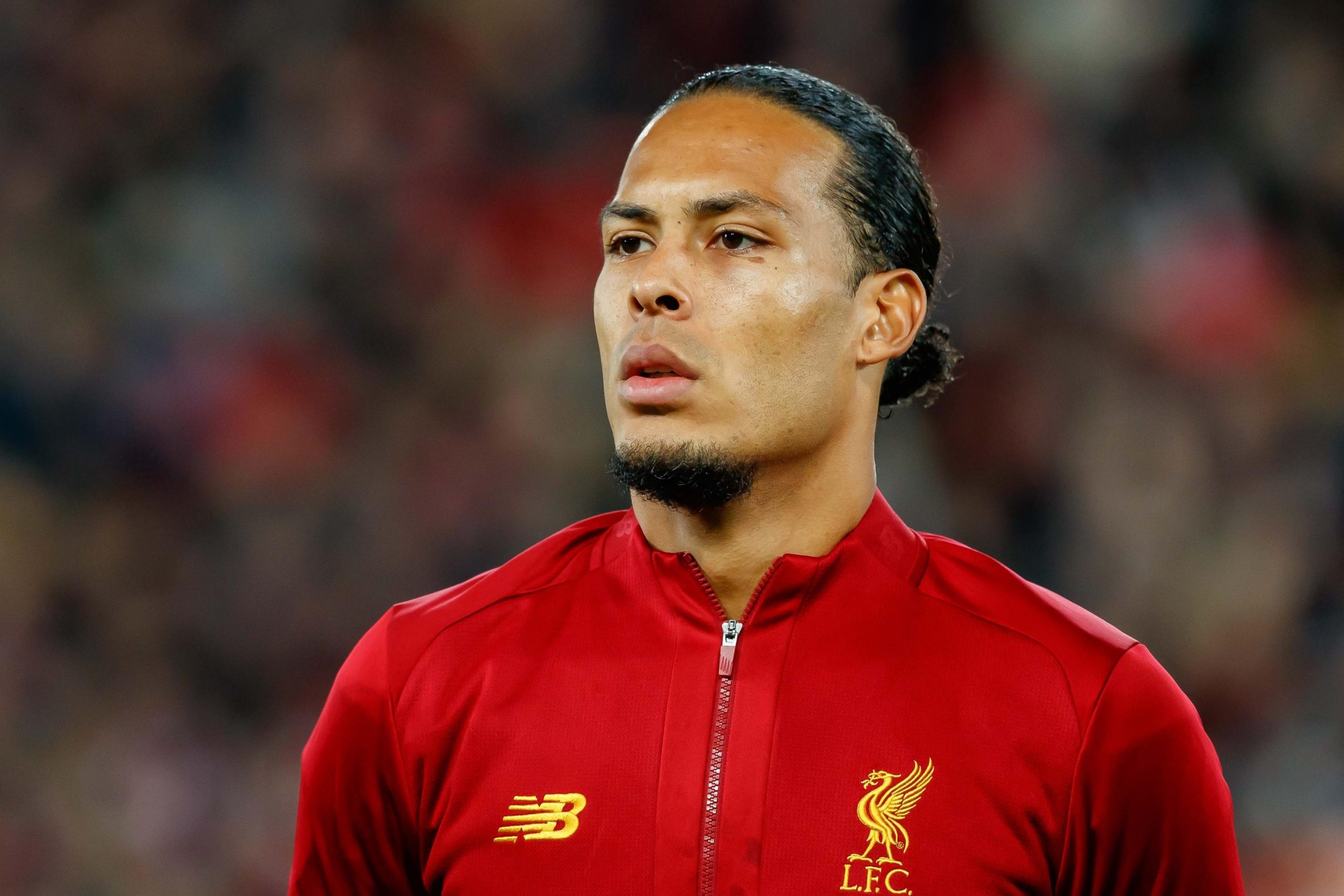 vvd