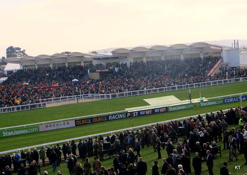horse-racing