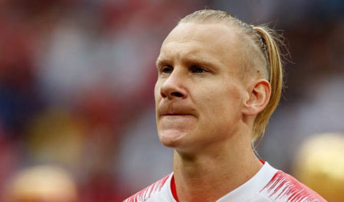 Domagoj Vida