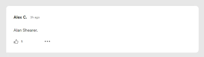 Newcastle fans pick their best ever signing