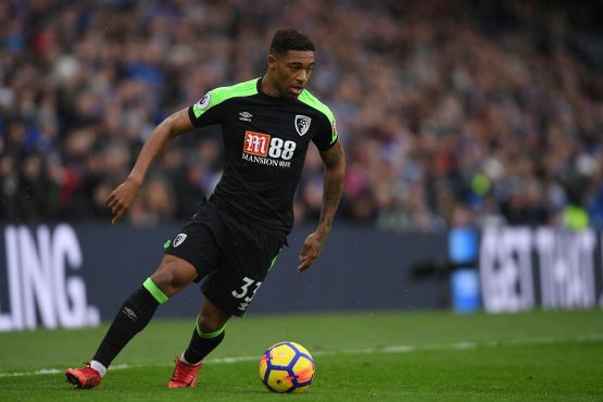 Brighton and Hove Albion v AFC Bournemouth - Premier League