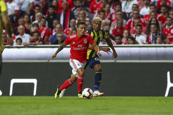 Benfica v Fenerbache - UEFA Champions League Qualifier