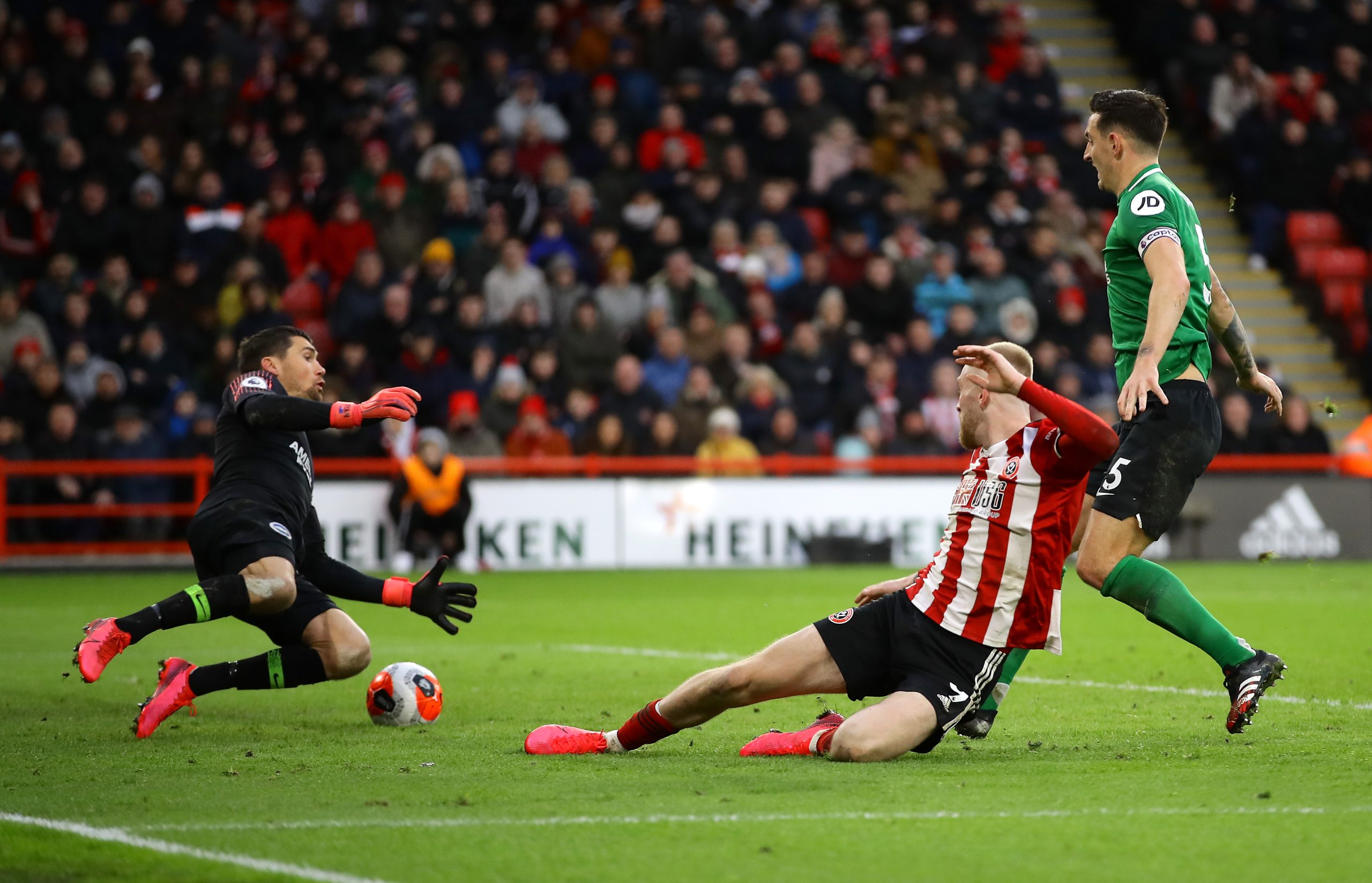 Sheffield United v Brighton & Hove Albion - Premier League