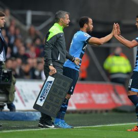 Swansea City v Tottenham Hotspur - Premier League