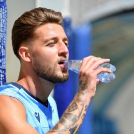 Sergej Milinkovic-Savic