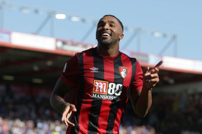 callum-wilson