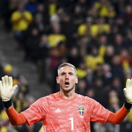 FBL-EURO-2020-QUALIFIER-SWE-ESP
