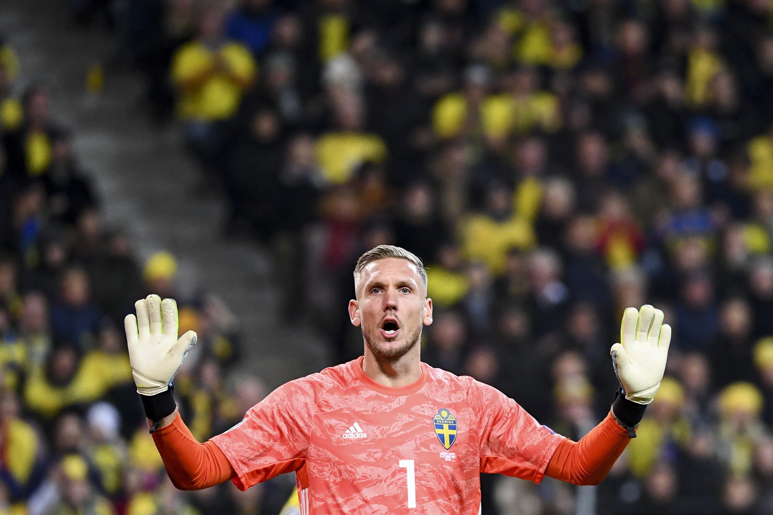 FBL-EURO-2020-QUALIFIER-SWE-ESP