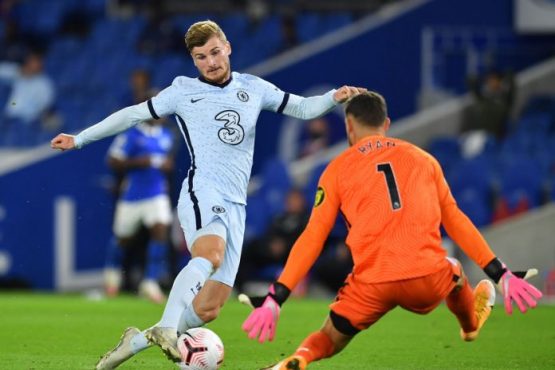 Werner v Brighton