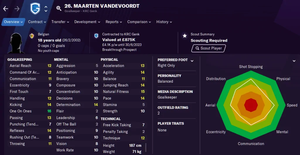 Football Manager 2021 Wonderkids - a bargain (future) starting XI