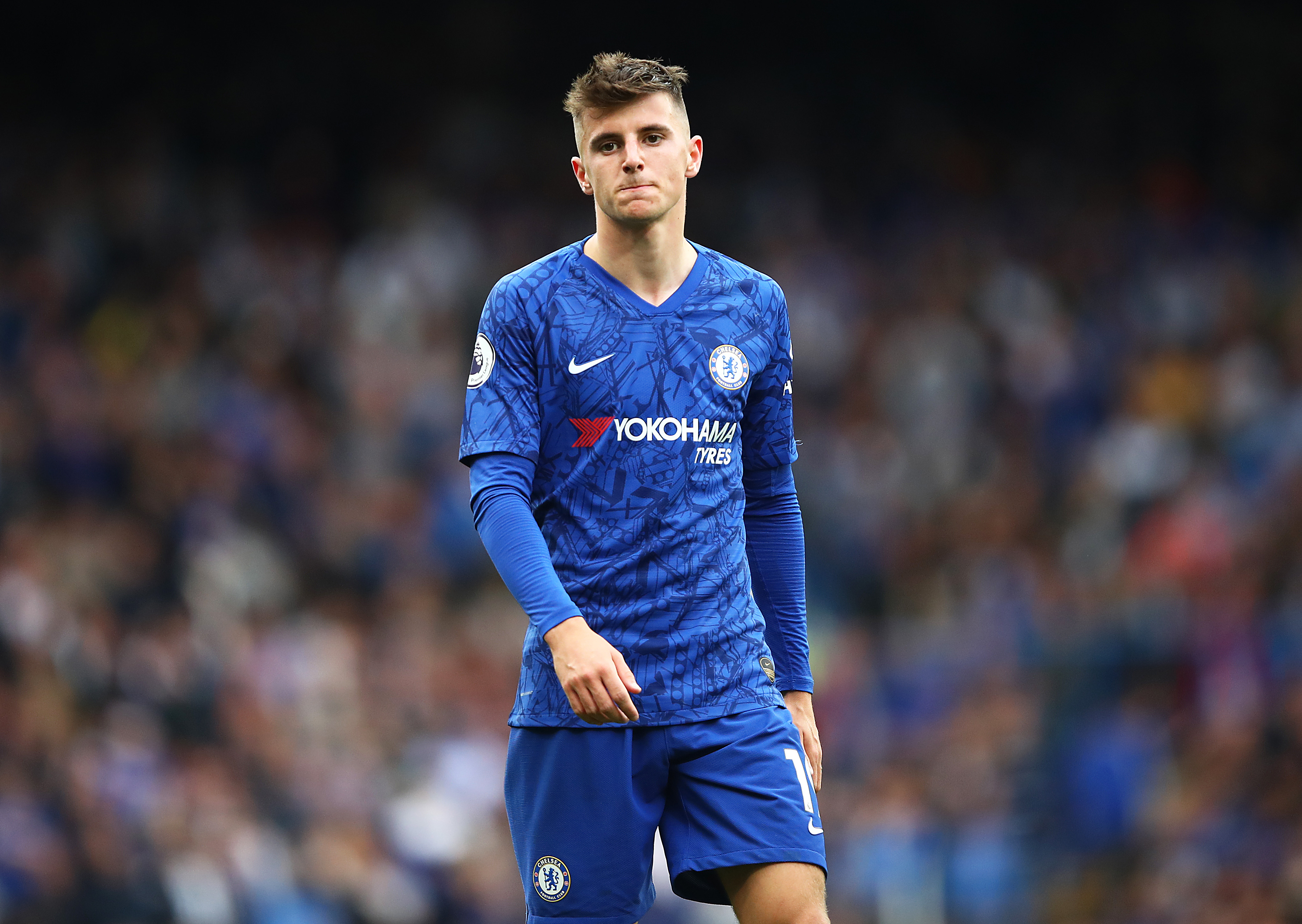 chelsea fc v brighton and hove albion premier league chelsea fc v brighton and hove albion premier league
