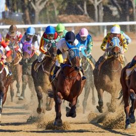 horse racing tips today