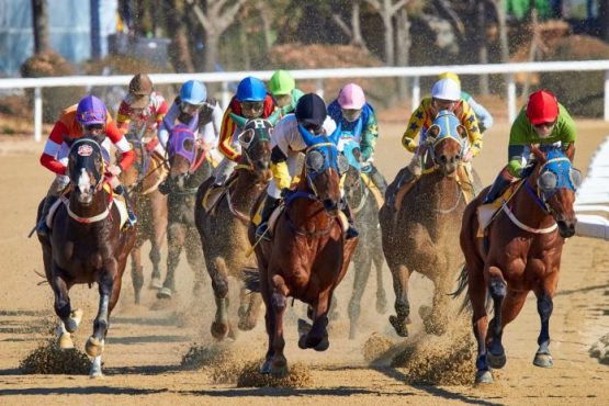 horse racing tips today