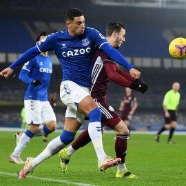 everton v leicester city premier league