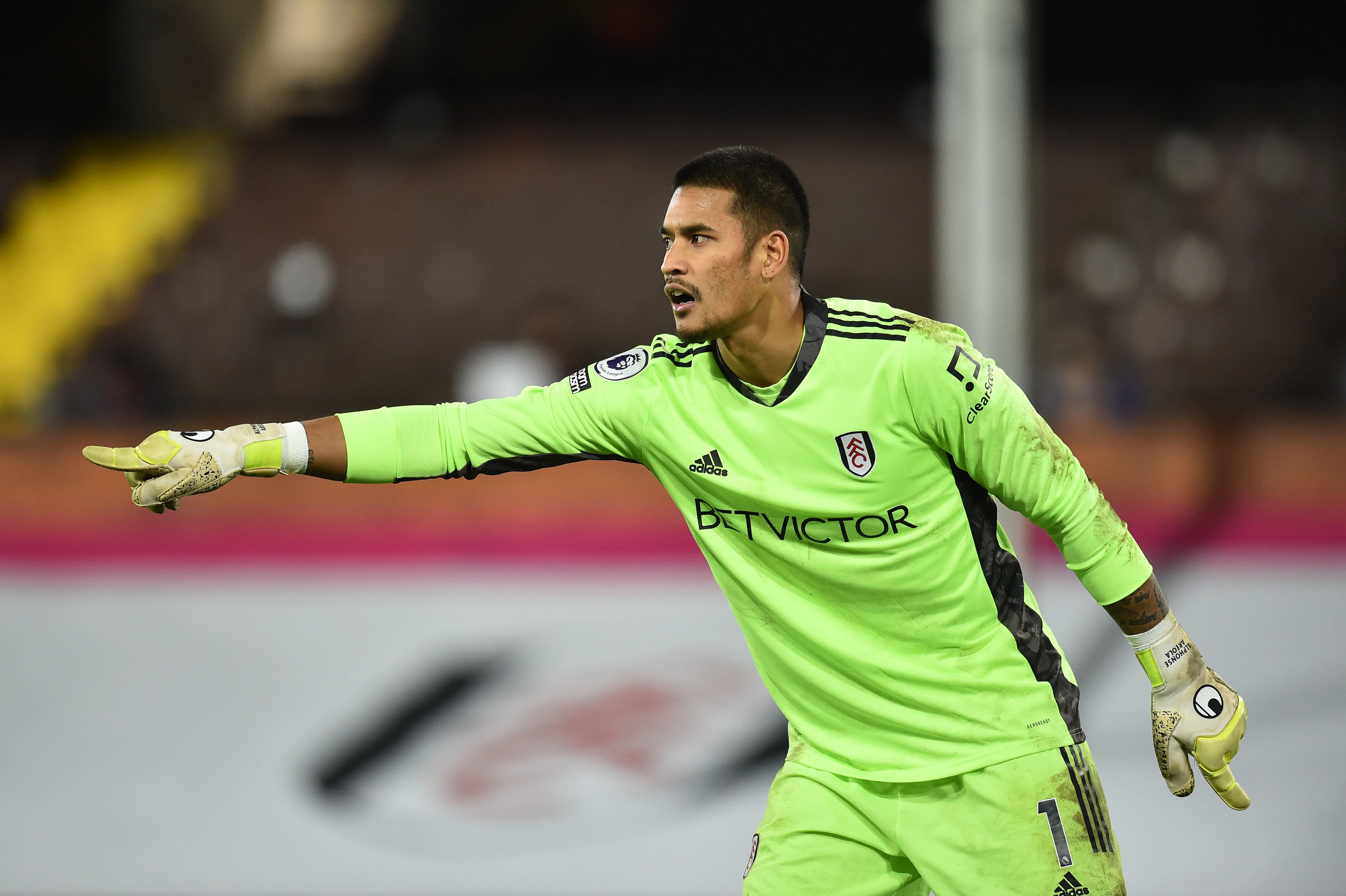 fulham v brighton and hove albion premier league fulham v brighton and hove albion premier league