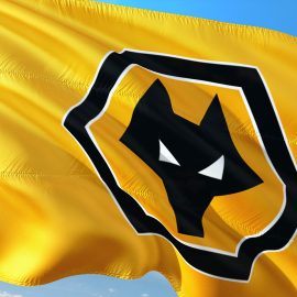 Wolves Banner