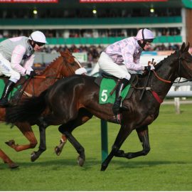 grand national odds