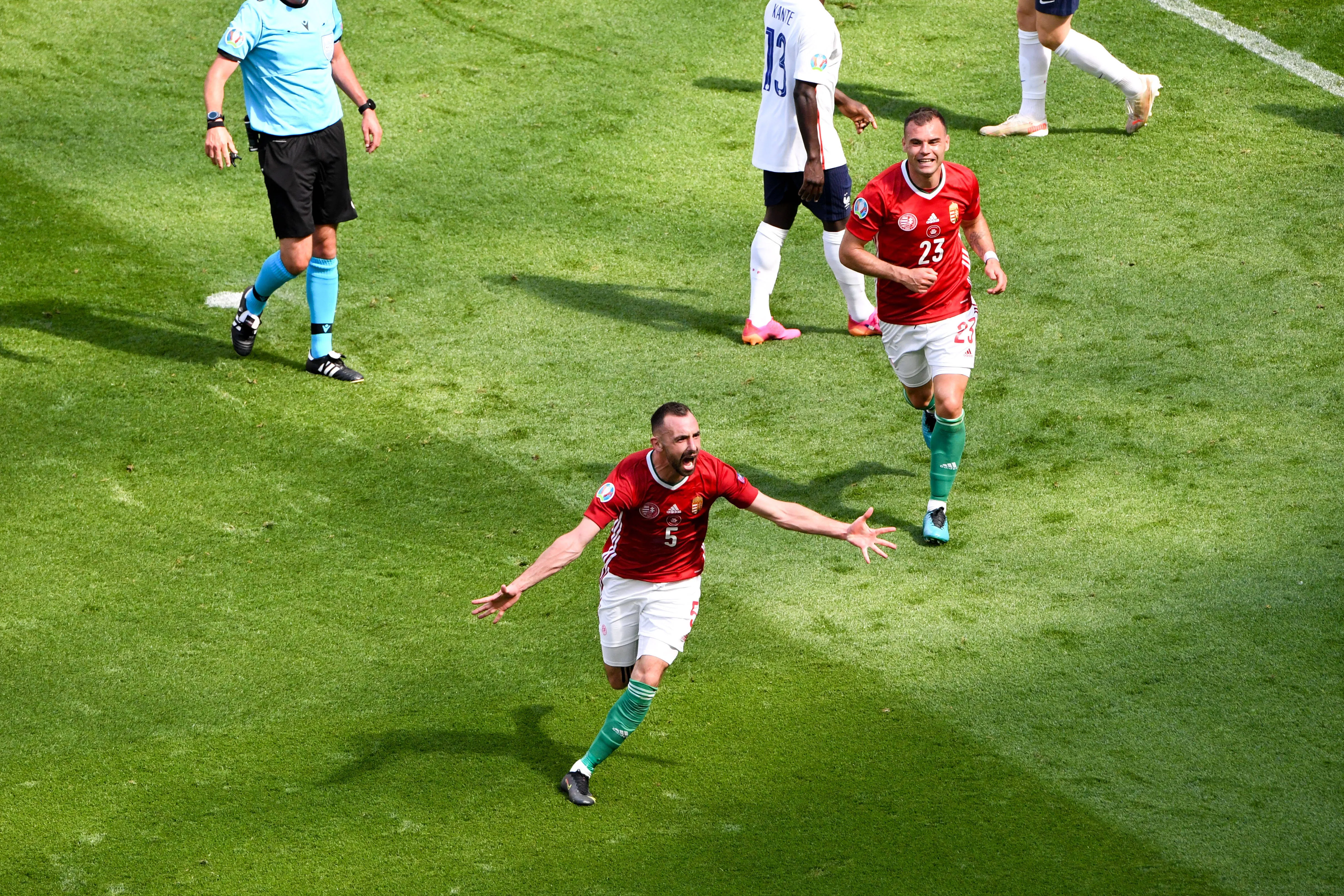 1003195547 1003195547