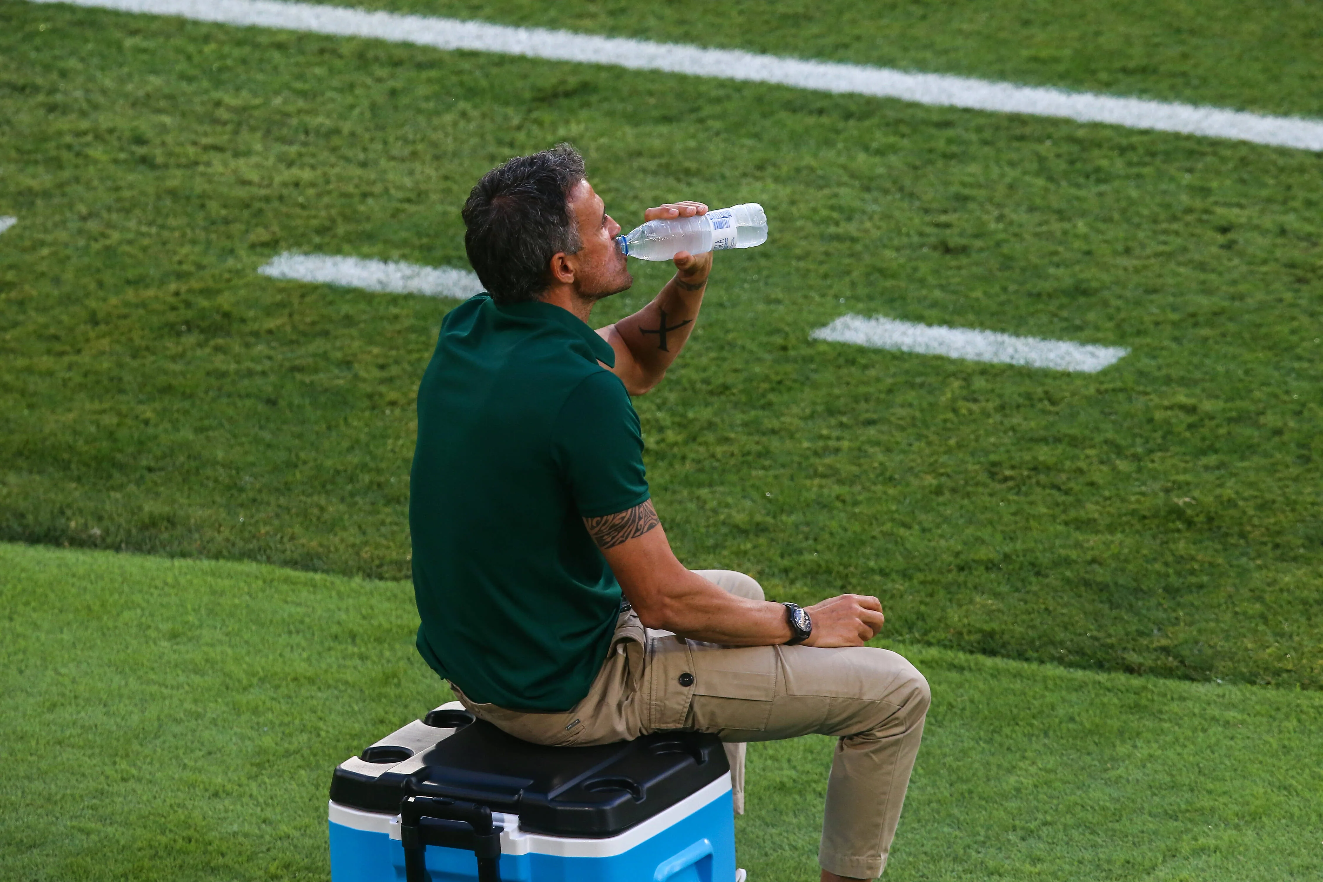 1003202977 1003202977