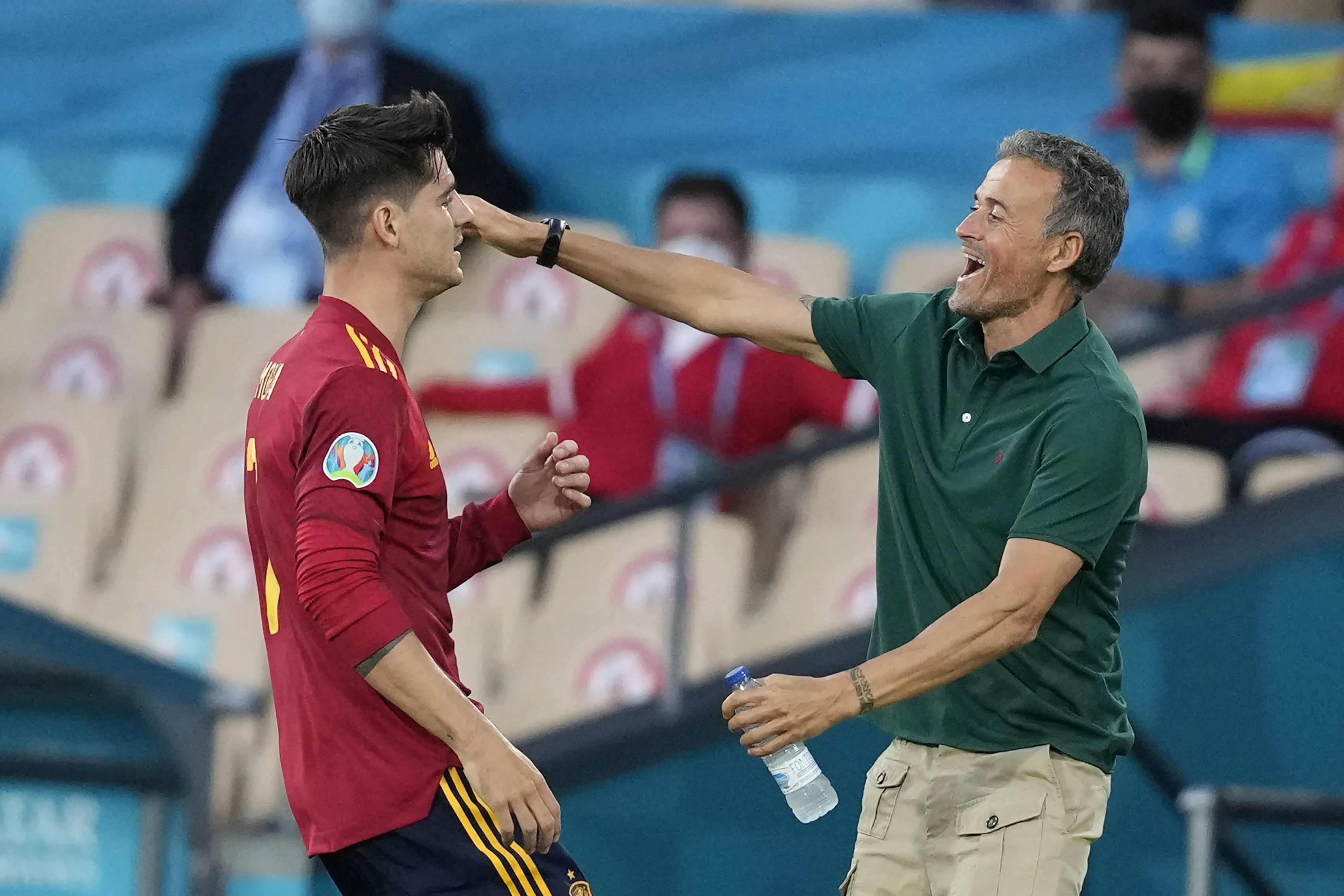 1003204313 1003204313