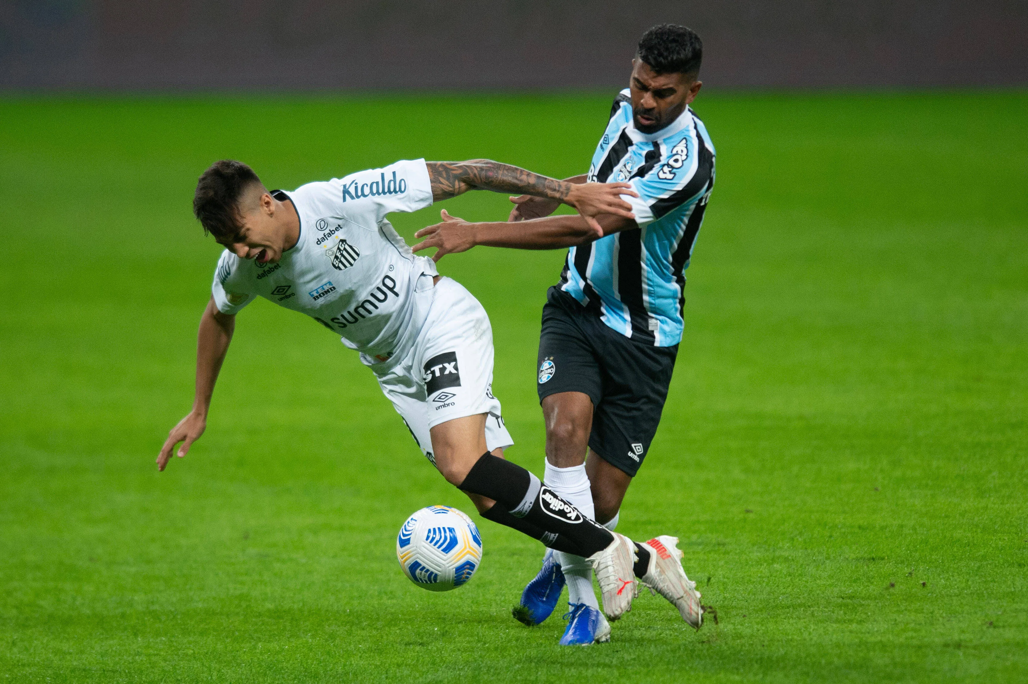 1003269834 1003269834