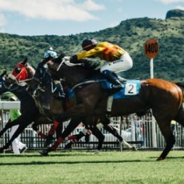 Horse Racing NAP of the Day