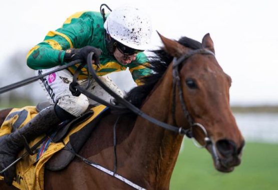 2022 Cheltenham Festival News: Fakir D’Oudairies Has Ryanair Chase Target