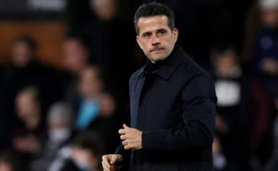 Hull City vs Fulham 2