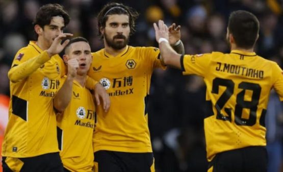 Wolves vs Norwich City 3