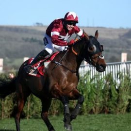 tiger roll