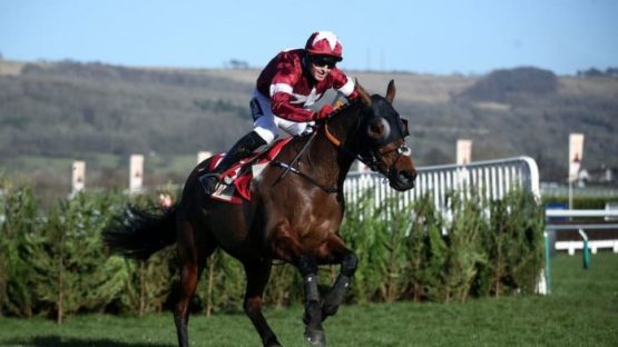 tiger roll