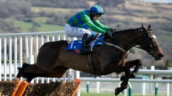Paul Townend Cheltenham rides include Appreciate It