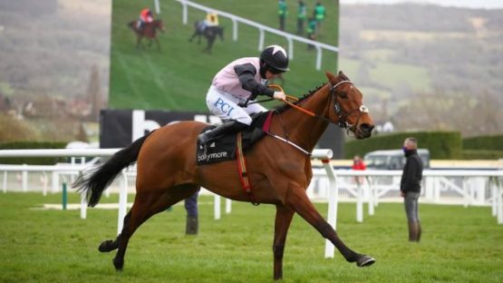 Cheltenham day 3 results