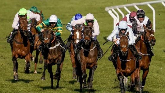 champion hurdle