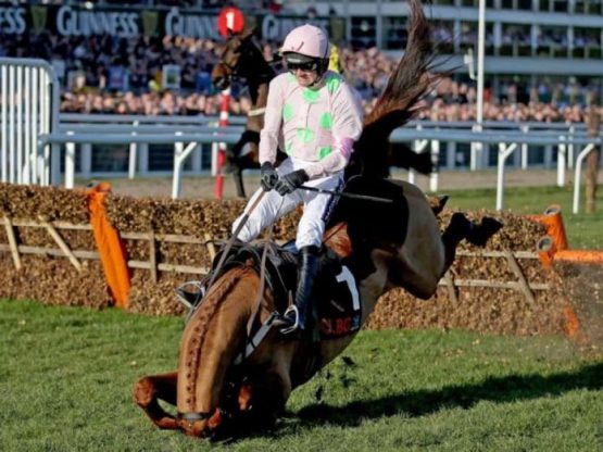 Cheltenham faller insurance