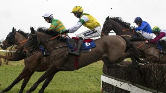 Enjoy D'Allen Grand National