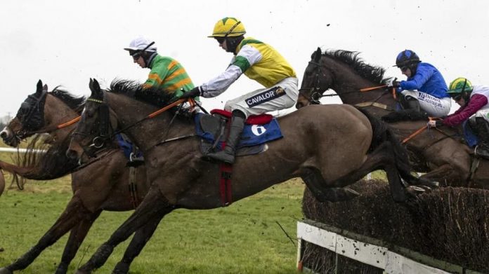 Enjoy D'Allen Grand National