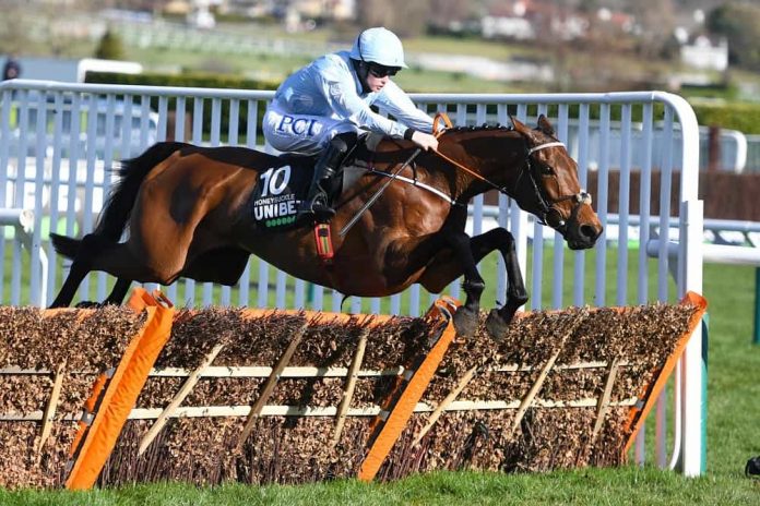 Rachael Blackmore Cheltenham rides include Honeysuckle