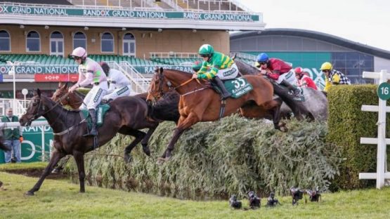 Minella Times Grand National