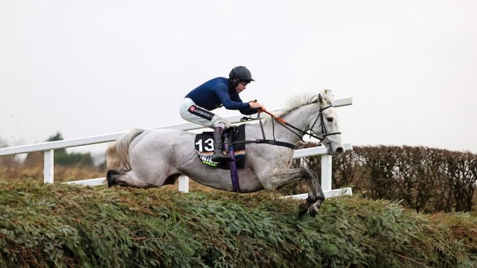 Snow Leopardess Grand National