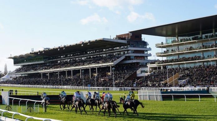 cheltenham festival.jpg.gallery