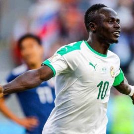 senegal mane