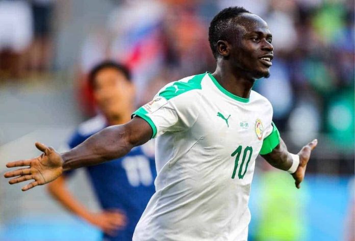 senegal mane