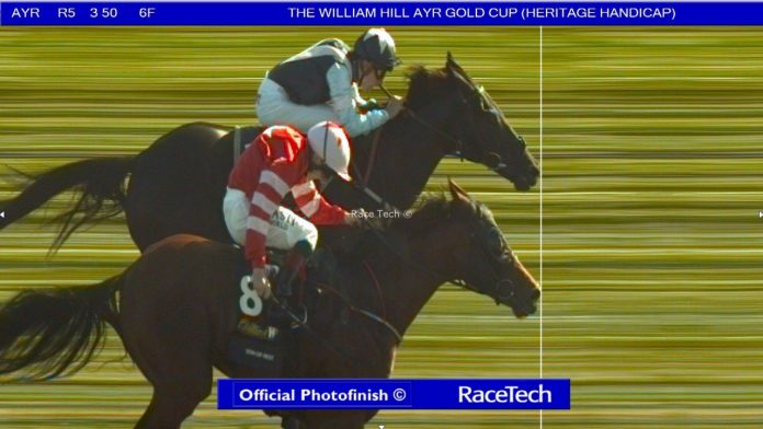 dead heat