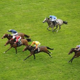 horse racing lucky 15