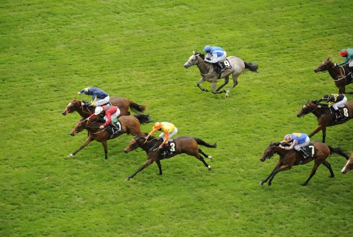 horse racing lucky 15