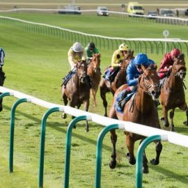 newmarket